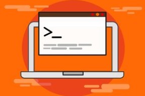 乐鱼体育地址-青少年比赛引入技术监测系统保障公平，2020年青少年比赛